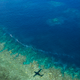 Image: ARC Centre of Excellence for Coral Reef Studies